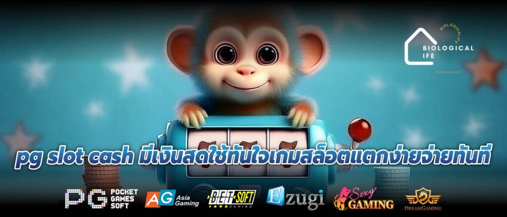 pg slot cash มีเงินสดใช้ทันใจเกมสล็อตแตกง่ายจ่ายทันที